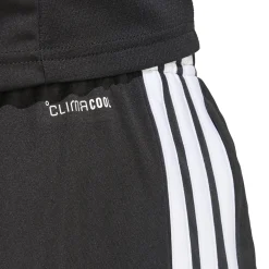 adidas SC Cambuur Trainingsset 2026-2027 Geel Zwart