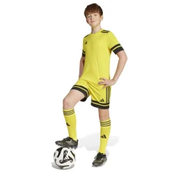 adidas Squadra 25 Voetbalbroekje Kids Geel Zwart