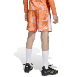 adidas Tiro 26 Competition Keeperstenue Lange Mouwen Kids Oranje
