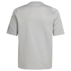 adidas Tiro 24 Voetbalshirt Kids Lichtgrijs Wit