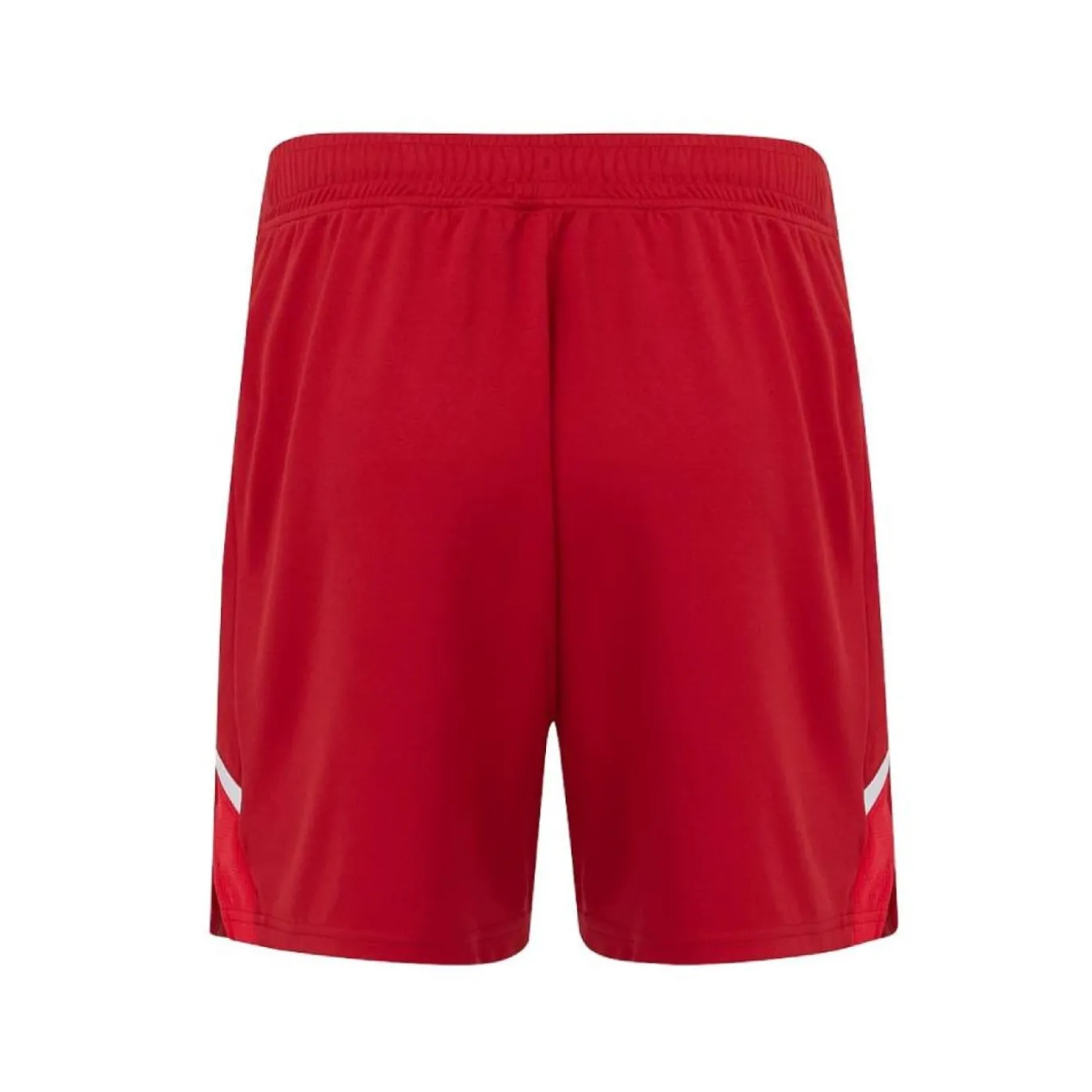 Castore FC Twente Thuisbroekje 2025-2026