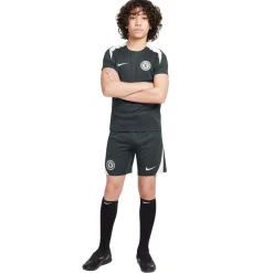 Nike Chelsea Strike Trainingsset 2025-2026 Kids Donkergroen Wit
