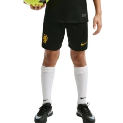 Nike Chelsea Uitset 2026-2027 Kids