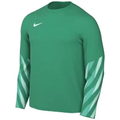Nike Dri-FIT Park Goalkeeper V Keepersshirt Lange Mouwen Lichtgroen Wit