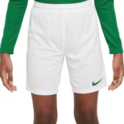Nike Dri-FIT Park III Voetbalbroekje Kids Wit Groen
