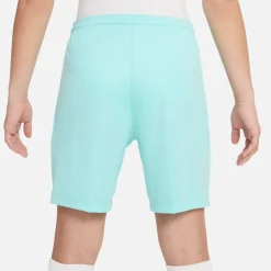Nike Dri-FIT Park III Voetbalbroekje Kids Turquoise
