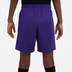 Nike Dri-FIT Park III Voetbalbroekje Kids Paars