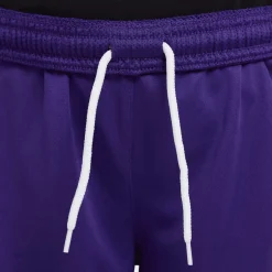 Nike Dri-FIT Park III Voetbalbroekje Kids Paars
