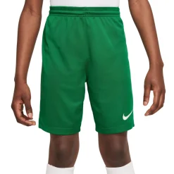 Nike Dri-FIT Park III Voetbalbroekje Kids Groen