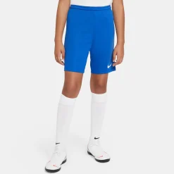 Nike Dri-FIT Park III Voetbalbroekje Kids Blauw