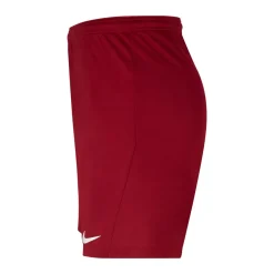 Nike Dri-FIT Park III Voetbalbroekje Bordeauxrood
