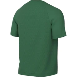 Nike Dri-FIT Park VIII Voetbalshirt Donkergroen Wit