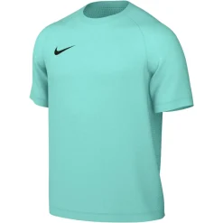 Nike Dri-FIT Park VIII Voetbalshirt Turquoise Zwart