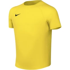 Nike Dri-FIT Park VIII Voetbalshirt Kids Geel Zwart
