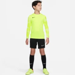 Nike DRY PARK IV Keepersshirt Lange Mouwen Kids Geel