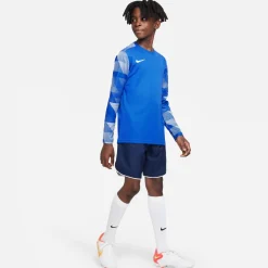 Nike Dry Park IV Keepersshirt Kids Lange Mouwen Blauw