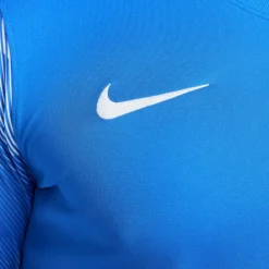 Nike DRY PARK IV Keepersshirt Lange Mouwen Blauw