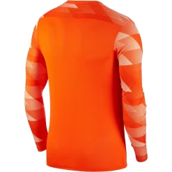 Nike Dry Park IV Keepersshirt Lange Mouwen Oranje