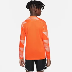 Nike DRY PARK IV Keepersshirt Lange Mouwen Kids Oranje