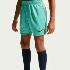 Nike FC Barcelona 3e Broekje 2026-2027 Kids