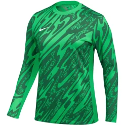 Nike Gardien V Keepersshirt Lange Mouwen Dames Groen Wit