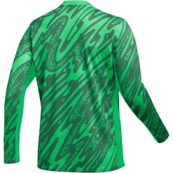 Nike Gardien V Keepersshirt Lange Mouwen Dames Groen Wit