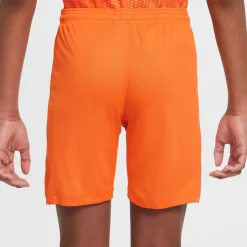 Nike Nederland Thuisbroekje OranjeLeeuwinnen 2025-2027 Kids