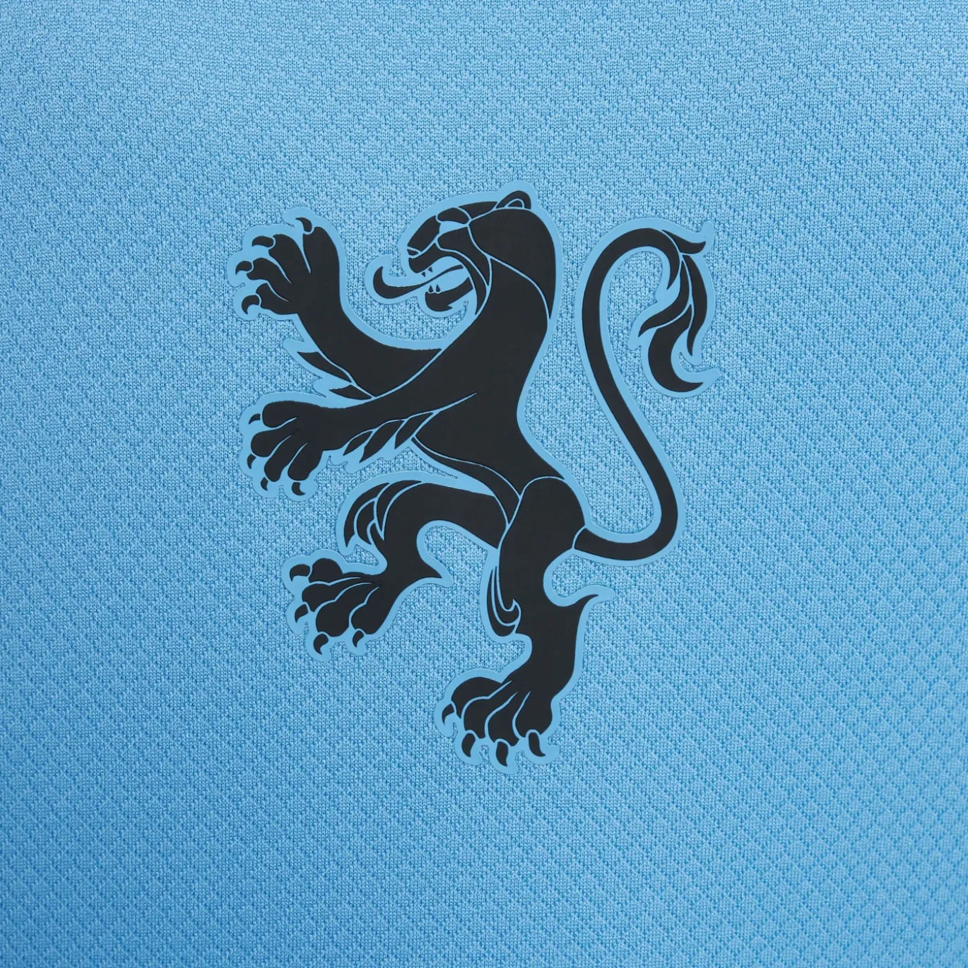 Nike Nederland Uitset OranjeLeeuwinnen 2025-2027 Kids