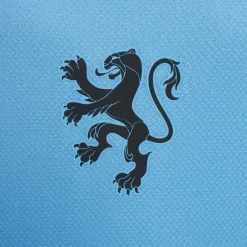 Nike Nederland Uitshirt OranjeLeeuwinnen 2025-2027 Kids