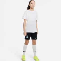 Nike Park 20 T-Shirt Wit