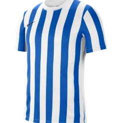 Nike Striped Division IV Voetbalshirt Kids Wit Blauw