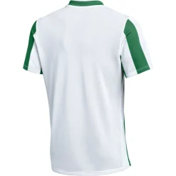 Nike Striped Division V Voetbalshirt Wit Groen
