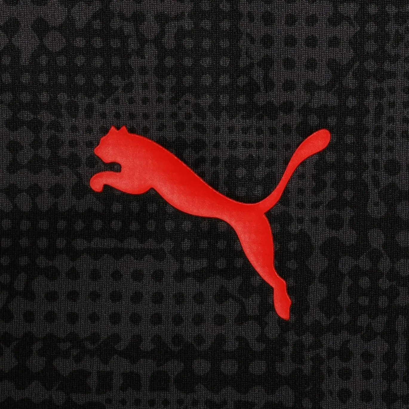 PUMA AC Milan Trainingsshirt 2025-2026 Zwart Rood