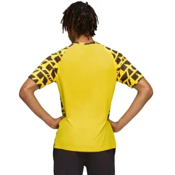 PUMA Borussia Dortmund Pre-Match Trainingsshirt 2025-2026 Geel Zwart