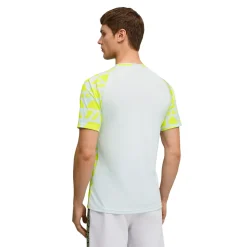 PUMA Borussia Dortmund Pre-Match Trainingsshirt 2025-2026 Zilver Geel