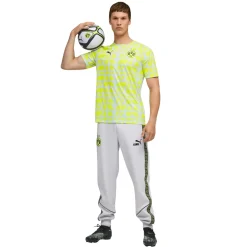 PUMA Borussia Dortmund Pre-Match Trainingsshirt 2025-2026 Zilver Geel
