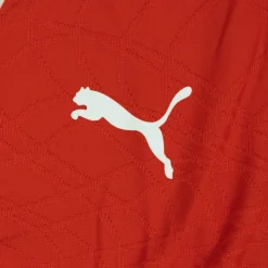 PUMA Marokko Trainingstrui 1/4-Zip 2026-2028 Kids Rood Wit