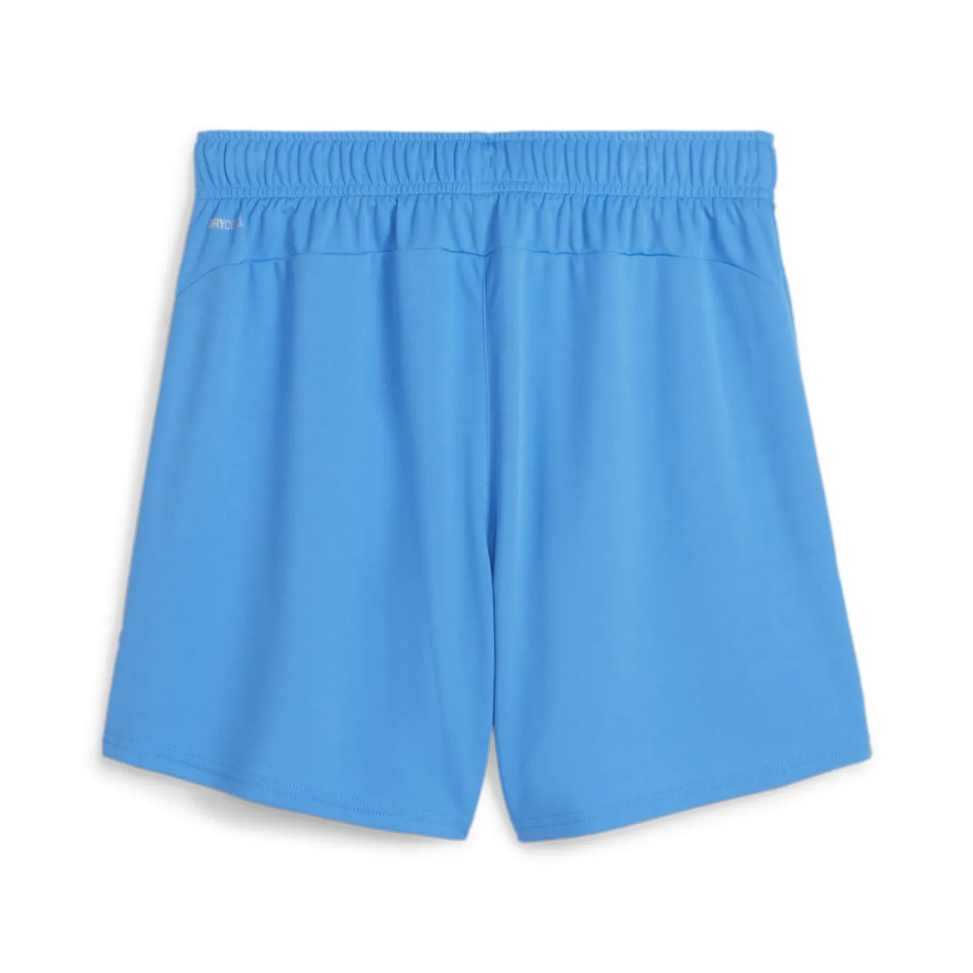 PUMA teamGOAL Matchday Voetbaltenue Dames Blauw Wit