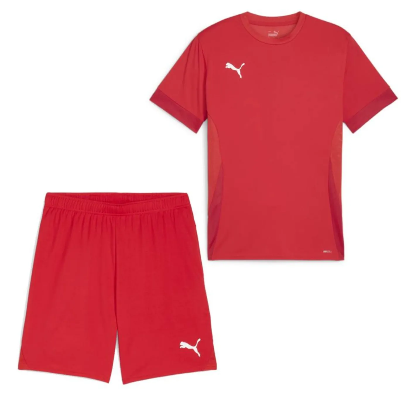 PUMA teamGOAL Matchday Voetbaltenue Rood Wit