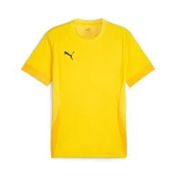 PUMA teamGOAL Matchday Voetbaltenue Geel Zwart