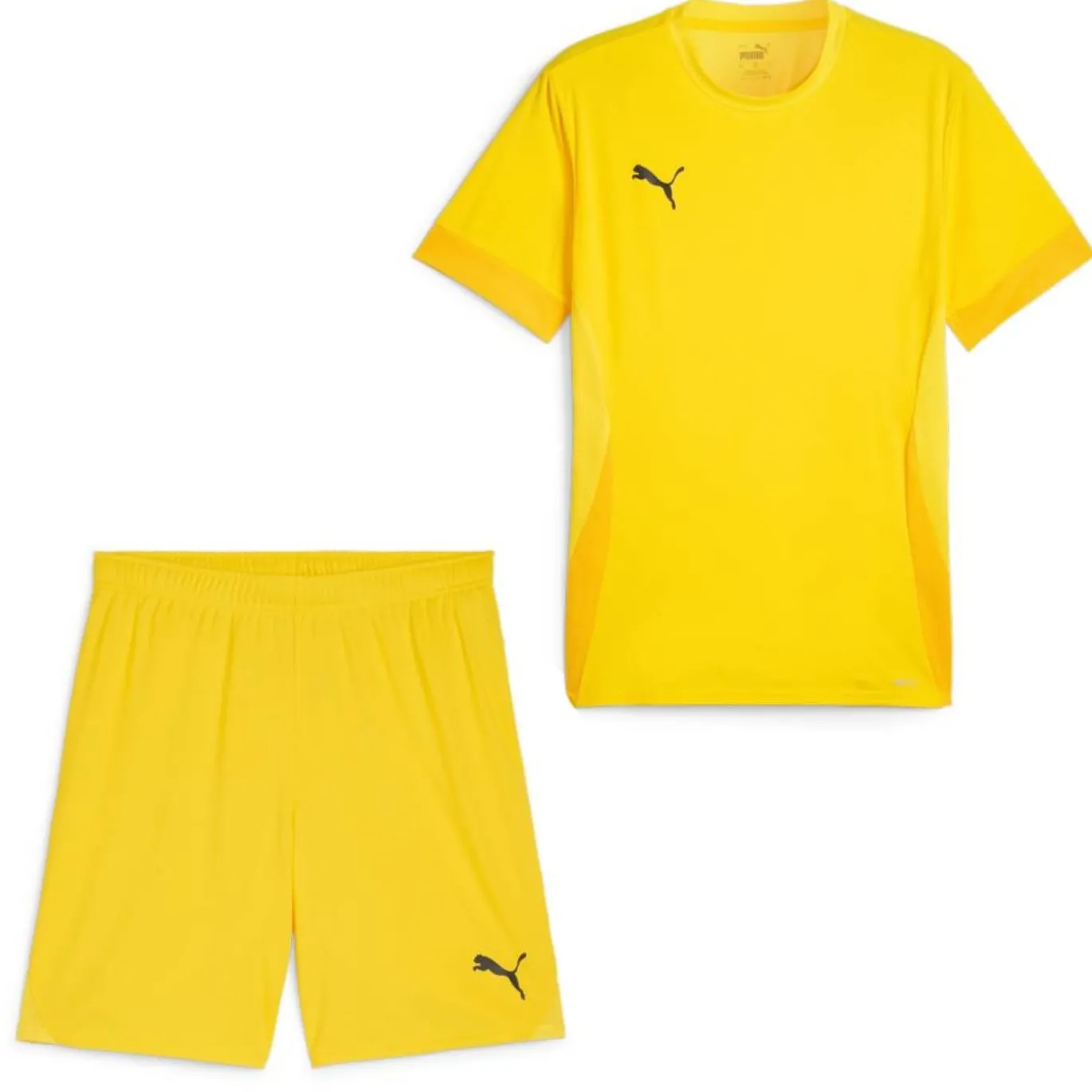 PUMA teamGOAL Matchday Voetbaltenue Geel Zwart