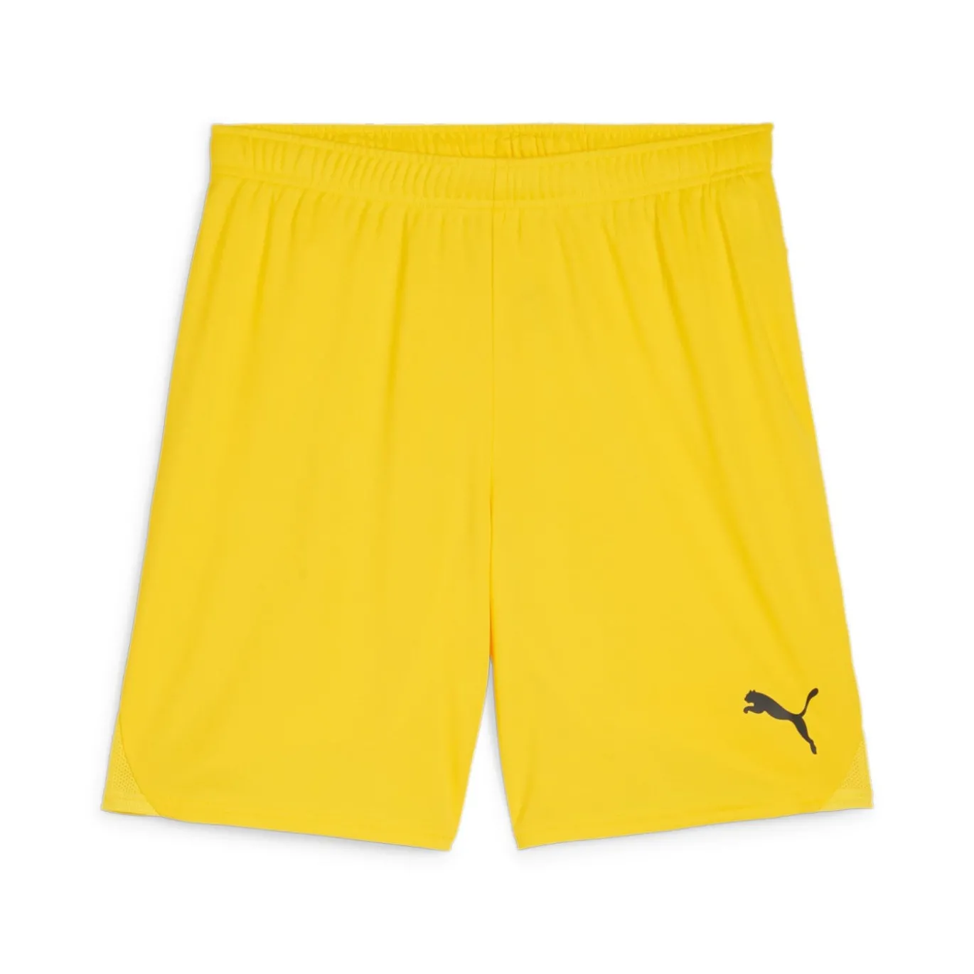 PUMA teamGOAL Matchday Voetbaltenue Geel Zwart