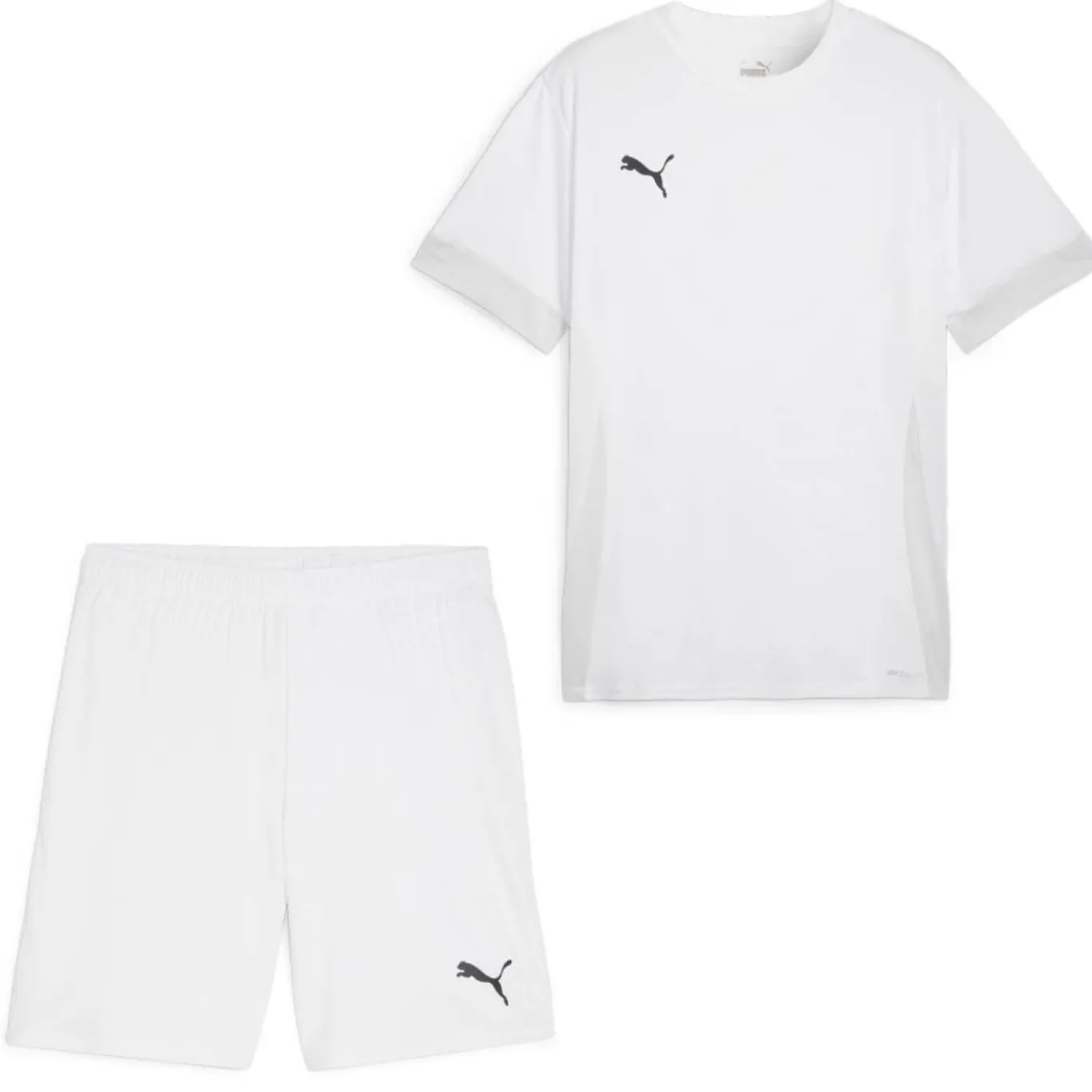 PUMA teamGOAL Matchday Voetbaltenue Kids Wit Zwart