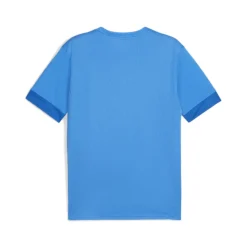 PUMA teamGOAL Matchday Voetbaltenue Blauw Wit