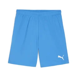PUMA teamGOAL Matchday Voetbaltenue Blauw Wit