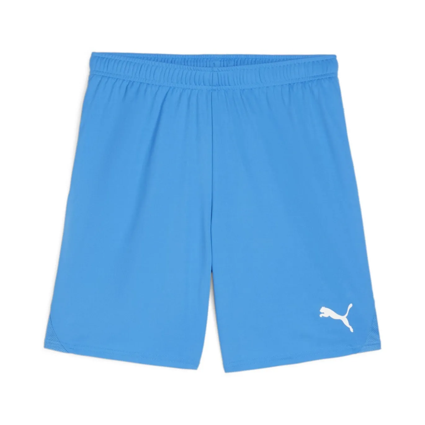 PUMA teamGOAL Matchday Voetbaltenue Blauw Wit