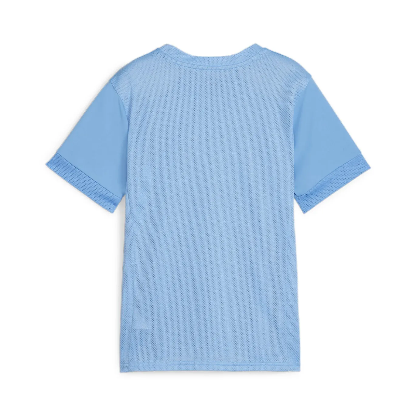 PUMA teamGOAL Matchday Voetbalshirt Kids Lichtblauw Wit