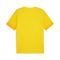 PUMA teamGOAL Matchday Voetbalshirt Geel Zwart