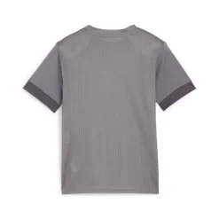 PUMA teamGOAL Matchday Voetbalshirt Kids Grijs Wit