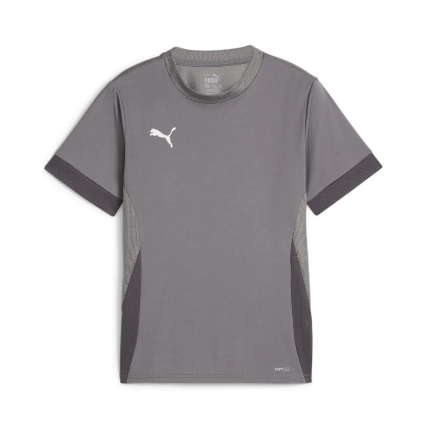 PUMA teamGOAL Matchday Voetbalshirt Kids Grijs Wit